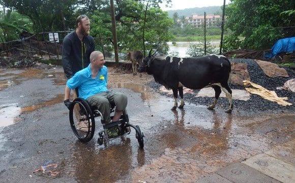 Dave and his PA encounter a cow while in Goa