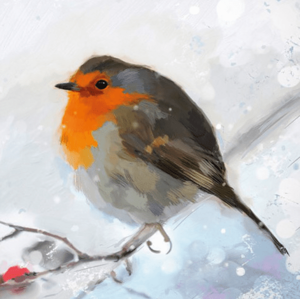 Winter Robin [out of stock]
