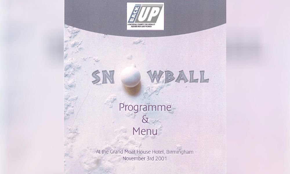 the 2001 Back Up Ball programme